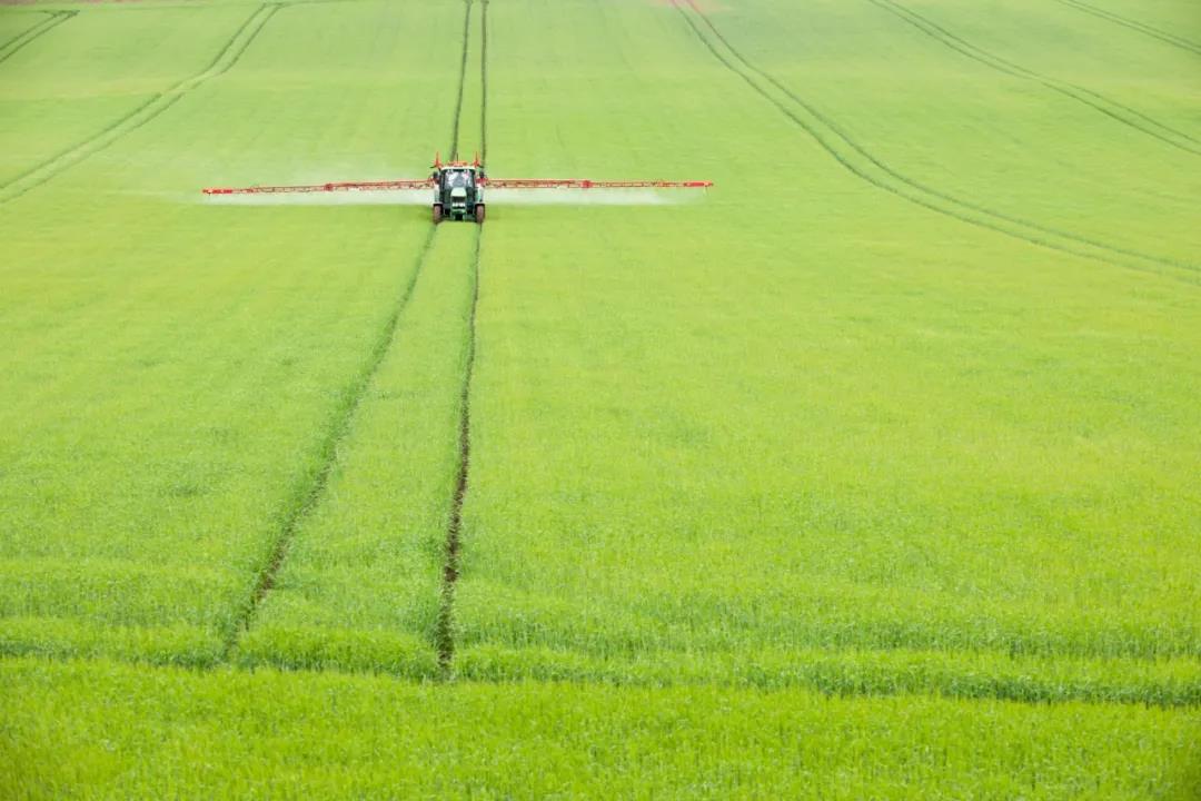 The path and strategy of promoting the digital transformation of agriculture