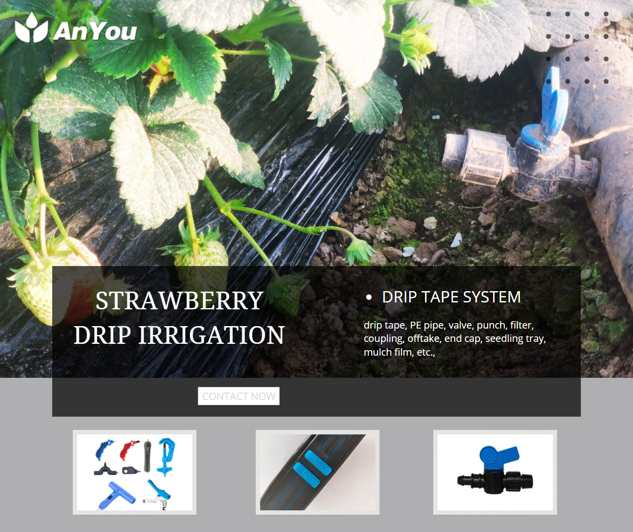 2023.5.12 The benefits of using drip tape for strawberry cultivation