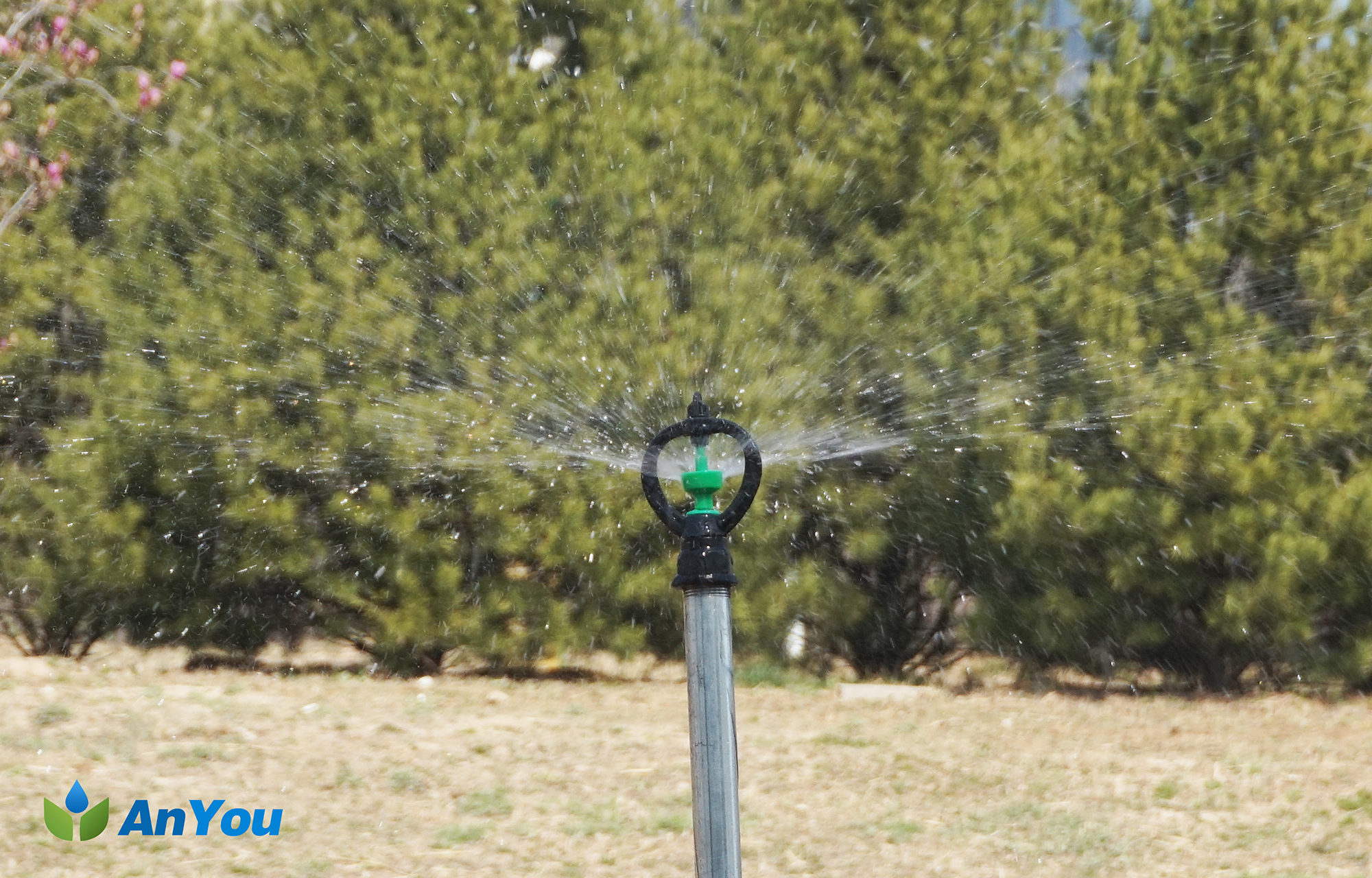 butterfly sprinkler anyou