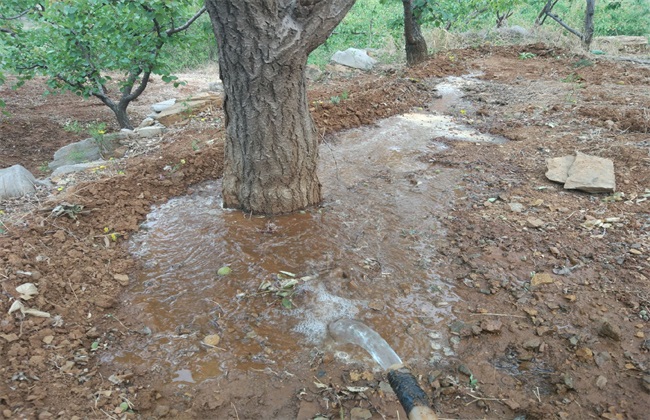 china irrigation